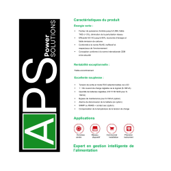 Onduleur APS - 2000 VA - 2 KVA Monophasé ECO Plus